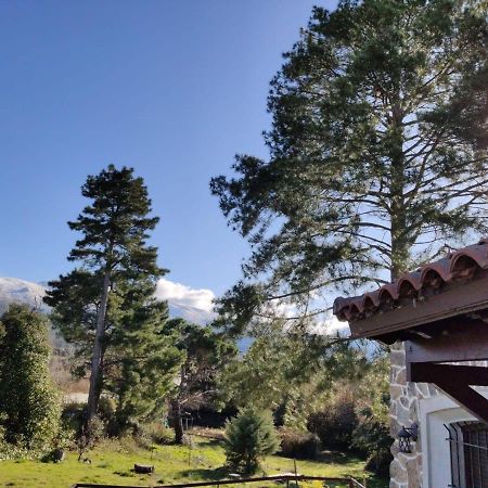 Вилла Casa Rural El Pinar Навас-де-Риофрио Экстерьер фото